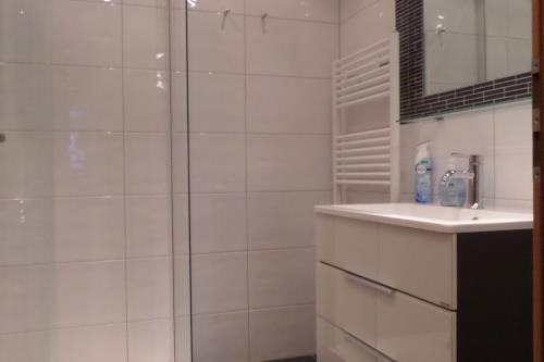 Borkum Ferienwohnung Dünentraum - Modernes Duschbad