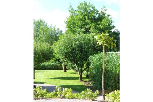 Borkum Ferienhaus Küch&#39;s Island-House