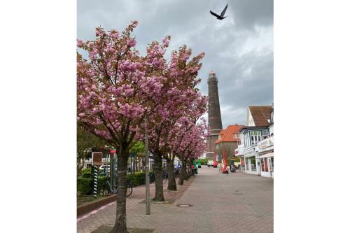 Borkum Ferienwohnung 27 Rogmans