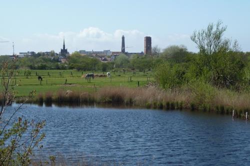 Borkum Ferienwohnung Bohlen-Janßen