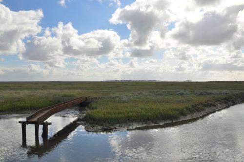 Borkum Haus Norderoog - Ferienwohnung Faupel
