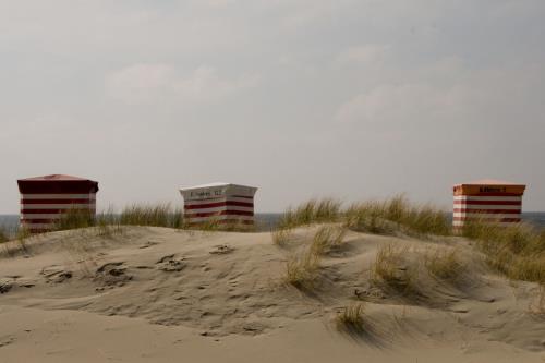 Borkum Ferienwohnung Meerzeit - Am Strand