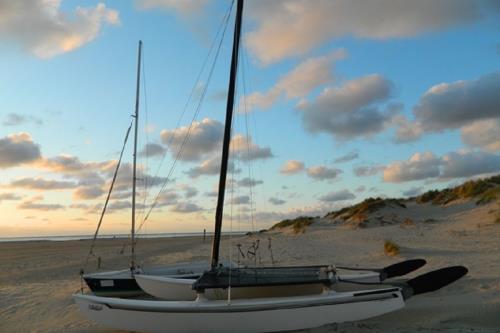 Borkum Ferienwohnung Möwennest III Wohnung 5