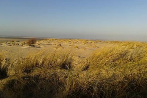 Borkum Ferienwohnung Nordseestube