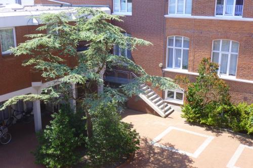 Borkum Ferienwohnung Scholle, Mövennest II - Innenhof