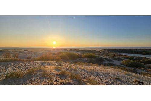 Borkum Ferienwohnung Seestern-14