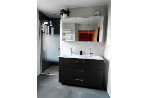 Borkum Ferienwohnung Seestern - Frontansicht Waschtisch Dusche hoch2025