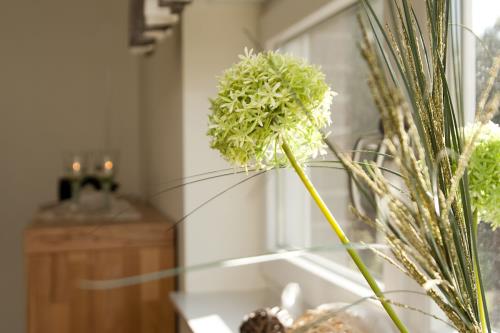 Borkum Ferienwohnung Sonnenidyll - hell und gemütlich