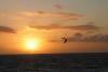 Borkum Ferienwohnung Steife Brise - Sonnenuntergang am Strand