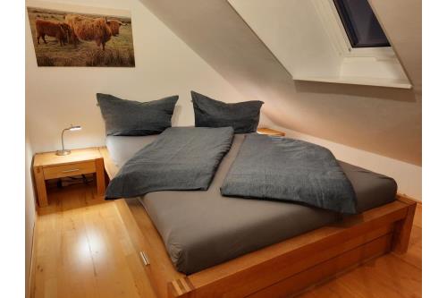 Borkum Ferienwohnung Strandstern