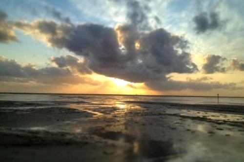 Borkum Ferienwohnung Wagner 7