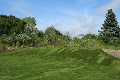 Borkum Ferienwohnung Küch's Captains-House