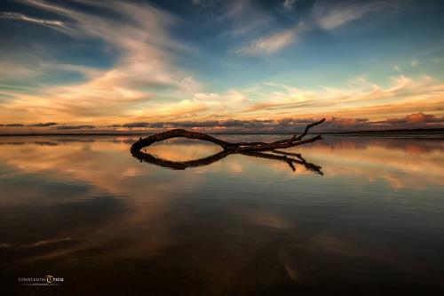 Borkum Ferienwohnungen Nordseegrill - 22791536 1598886246836817 26186572325086