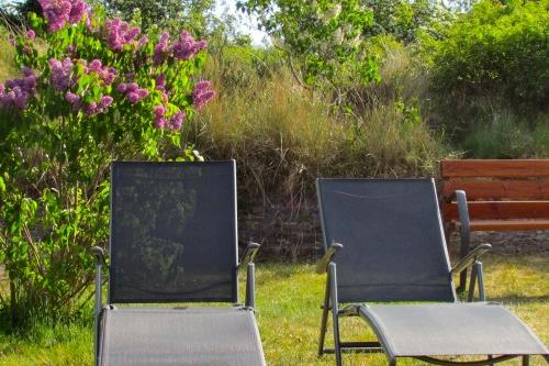 Borkum Ferienwohnungen Riegenhagen - Garten