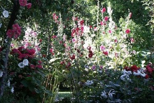 Borkum Ferienwohnungen Weiß - Garten