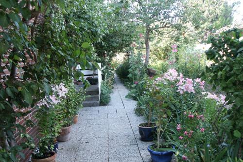Borkum Ferienwohnungen Weiß - Hauseingang