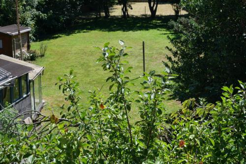 Borkum Ferienwohnung Haus Dina Sillus - Blick in den Garten