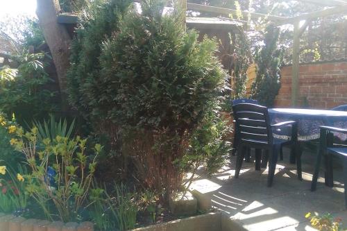 Borkum Ferienwohnung Haus Münsterland Whg.2/EG - Grillterrasse