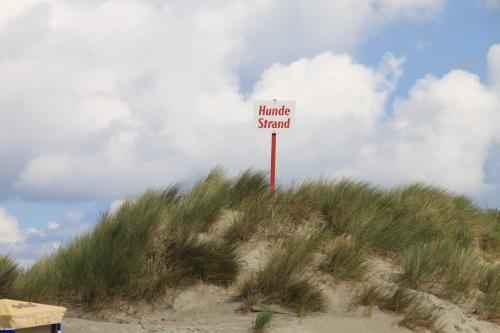 Borkum Haus Norderoog Ferienwohnungen Hindenburgstraße 56 - Dünen-Hundestrand am Hauptbadestrand