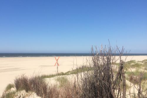 Borkum Haus Norderoog Ferienwohnungen Hindenburgstraße 56 - Borkum - Strand Richtung Nordstrand +FKK