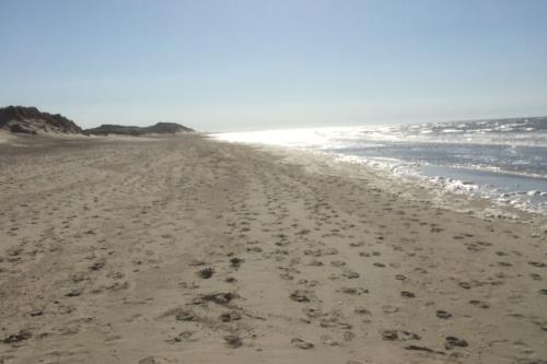Borkum Haus Norderoog Ferienwohnungen Hindenburgstraße 56 - Borkum - Nordstrand incl. FKK-Strand