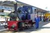 Borkum Ferienwohnung Haus Norderoog - alte Dampflokomotive