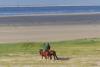 Borkum Ferienwohnung Haus Norderoog - Reitausflüge am Strand