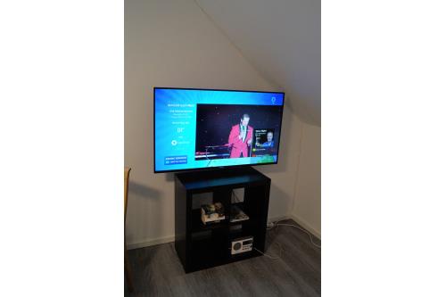 Borkum Haus Strandsonne - Ferienwohnung 1 - tv