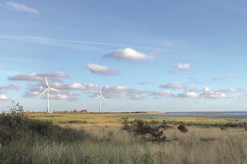 Borkum Ferienwohnung Haus Windröschen - App. 7 - Ausstattung 11