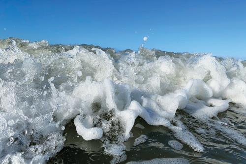 Borkum Ferienwohnung Haus Windröschen - App. 7 - Ausstattung 7