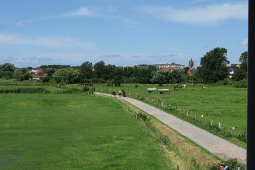 Borkum Ferienwohnung Sanddorn-Koje - Aussicht vom Balkon