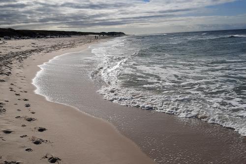 Borkum Ferienwohnung Seehundsbank - 20201015 131349