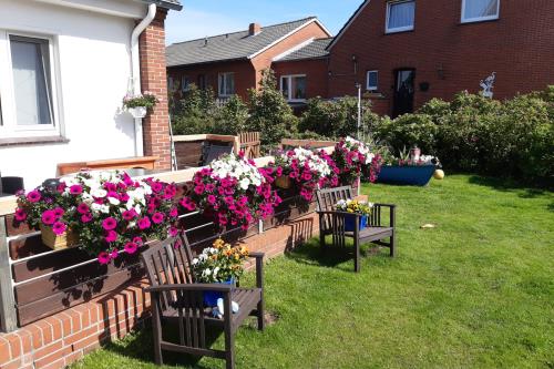 Borkum Ferienwohnung Seehundsbank