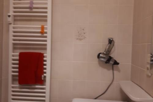 Borkum Ferienwohnung Villa Central - Fewo Nr. 3 - Wilhelm-Bakker-Str.28 - Kiebitznest - Bad