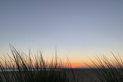 Borkum Ferienhaus Villa Elysée