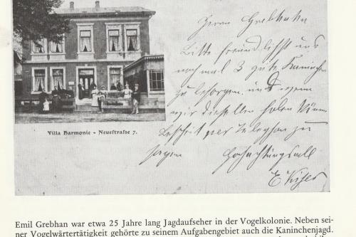 Borkum Ferienwohnung Villa Harmonie - Villa Harmonie Beginn