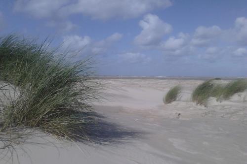 Borkum Ferienwohnung Burke**** - Strand auf Borkum