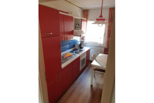 Borkum Ferienwohnung Deichrose