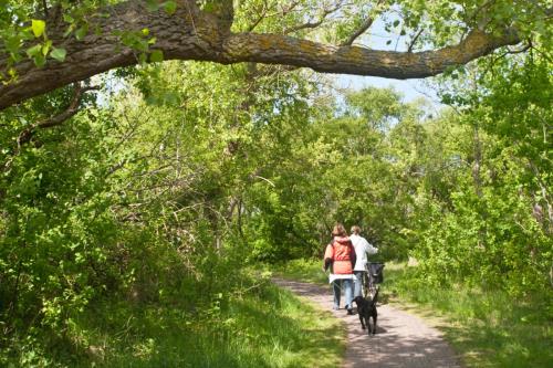 Borkum Ferienwohnung Nei ut