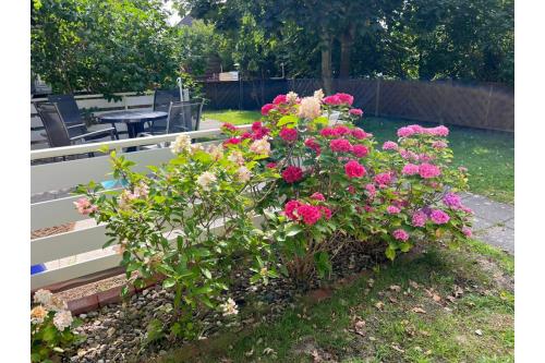 Borkum Ferienwohnung Sonnenseite