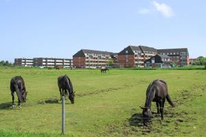 Ferienwohnung Ubbens
