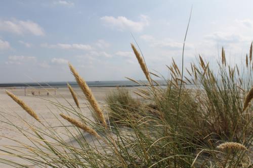 Borkum Ferienwohnung Villa Patricia - Augenstern