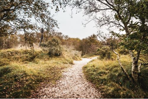 Borkum Ferienwohnung Watt Mutt