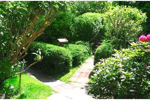 Borkum Ferienwohnung Haus Ney