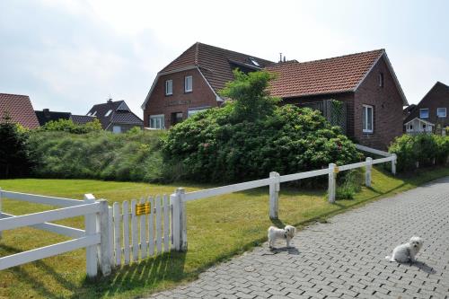 Langeoog Ferienwohnung Appartementhaus Zur freien Aussicht - Ferienhaus + Appartements