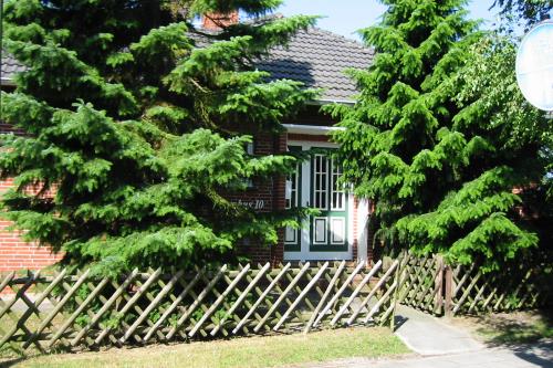 Langeoog Ferienhaus Birkenhus