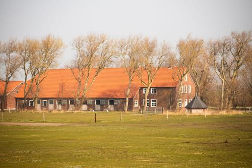 Langeoog Ferienhaus Der Sanddornhof