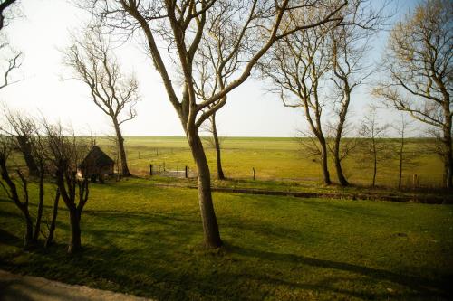 Langeoog Ferienhaus Der Sanddornhof