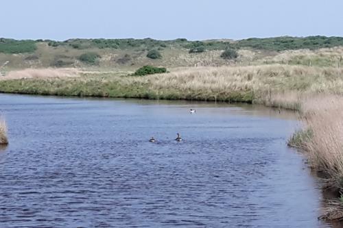 Langeoog Ferienwohnung Ferienhaus Katja und Ralf Heimes - Langeoog Schloop