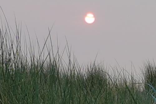 Langeoog Ferienwohnung Ferienhaus Katja und Ralf Heimes - Langeoog Dünen Hauptbad
